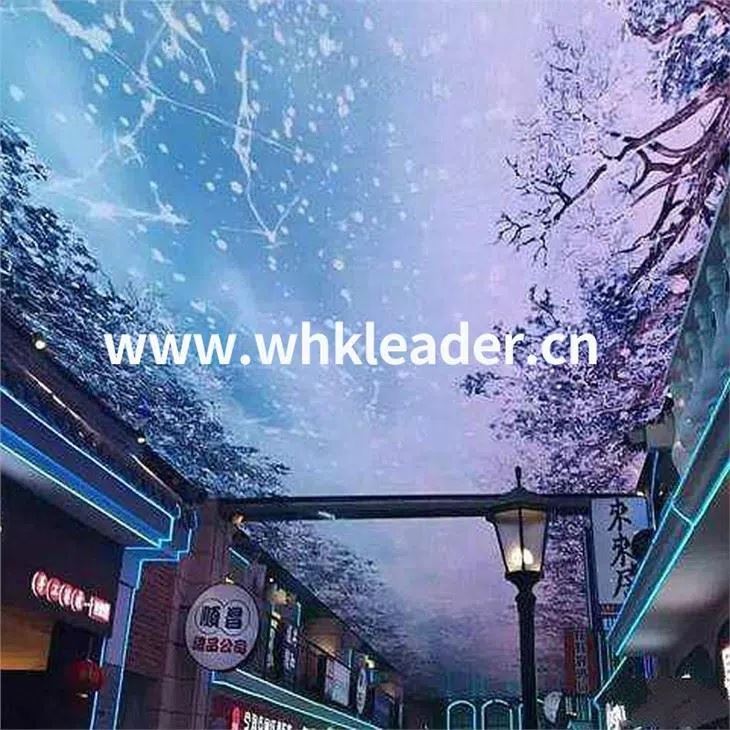 شاشة السماء