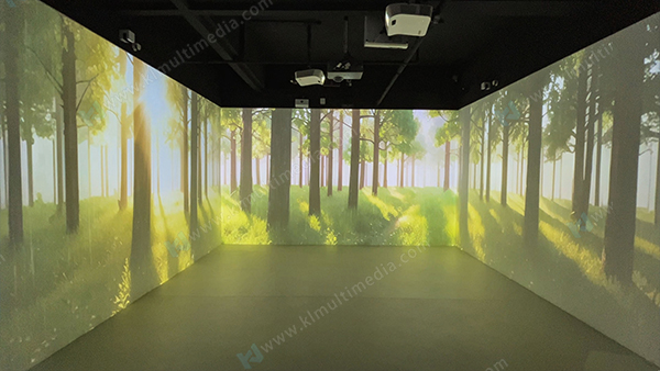 مشهد مطر الغابة