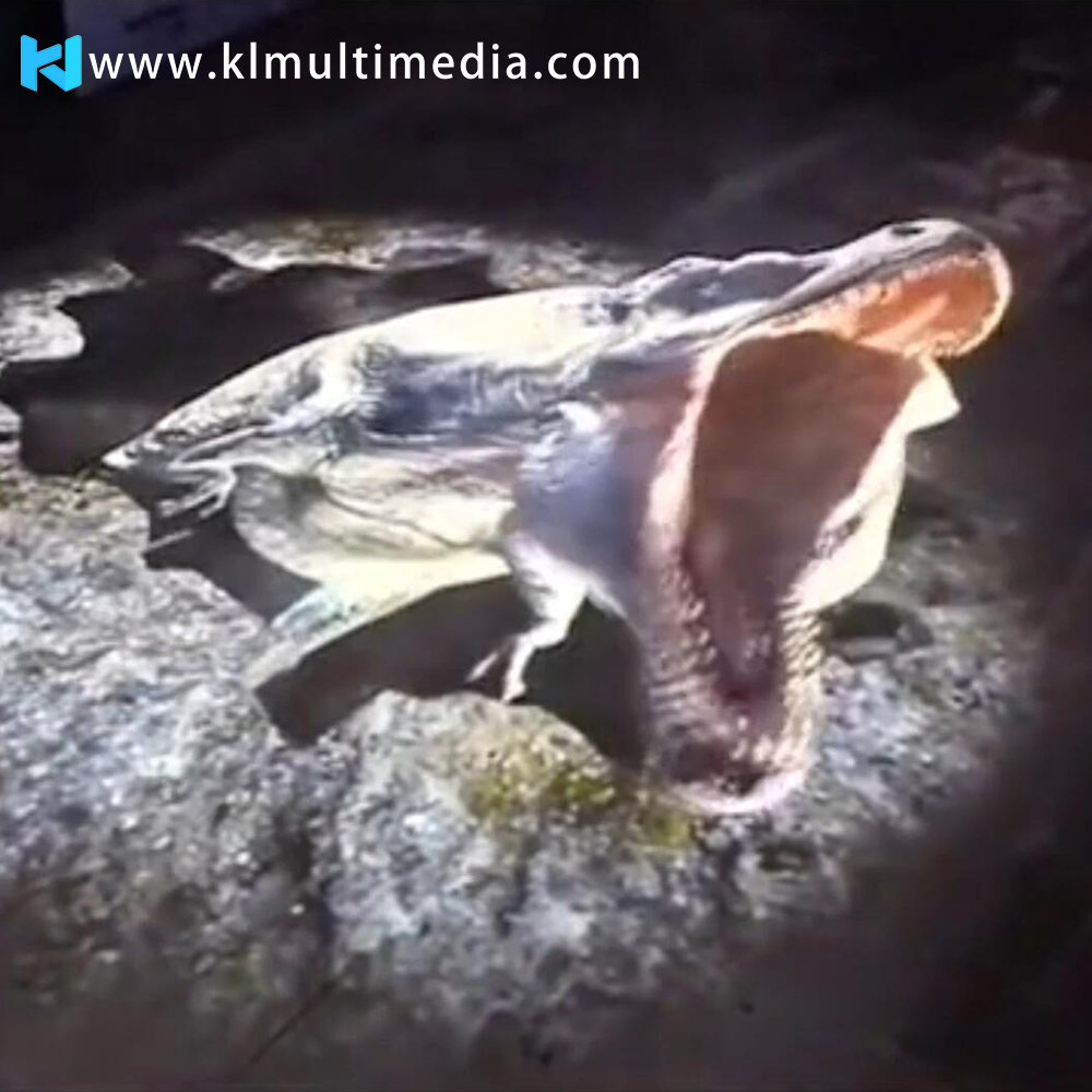 تجربة الديناصورات الغامرة