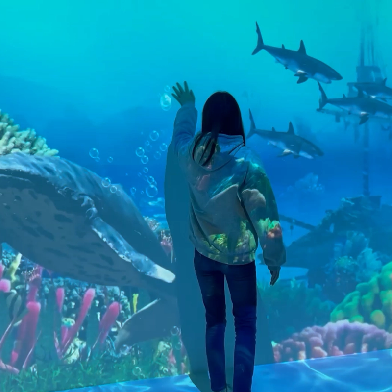 الفن الغامر