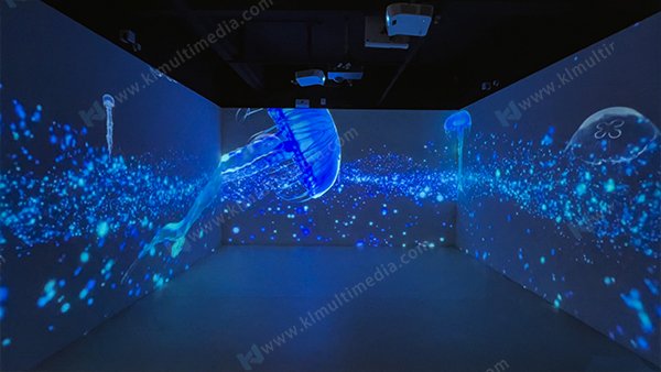 قنديل البحر حالمة