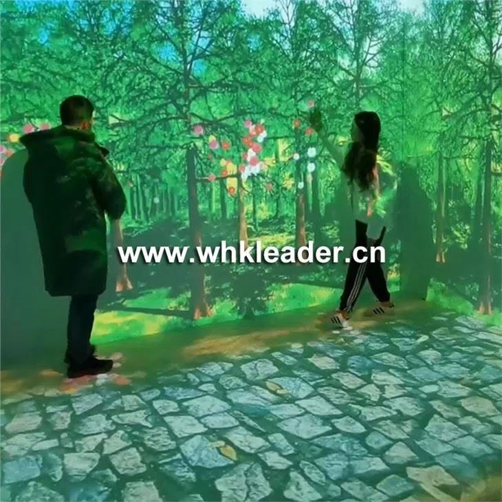 الإسقاط غامرة